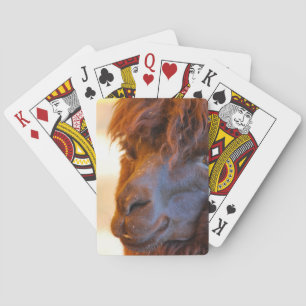 Schwarzes Lama Spielkarten