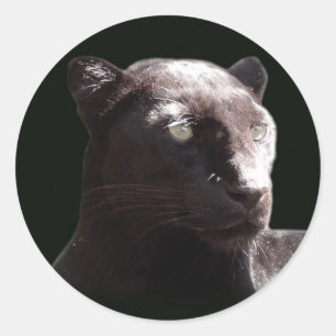 Schwarzes Leopard-Porträt Runder Aufkleber