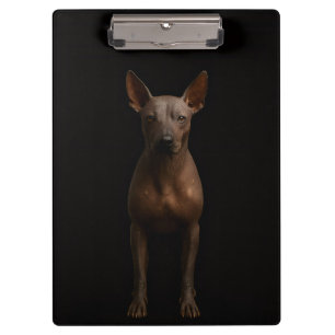 Schwarzes Luxus-Clipboard mit Argentina Pila Dog Klemmbrett