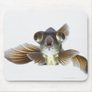 Schwarzes machen Goldfisch fest (Carassius Mousepad