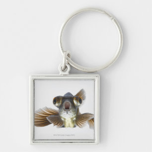 Schwarzes machen Goldfisch fest (Carassius Schlüsselanhänger