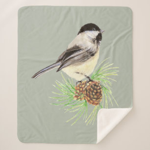 Schwarzes Meer Chickadee Vogelwelt Sherpadecke