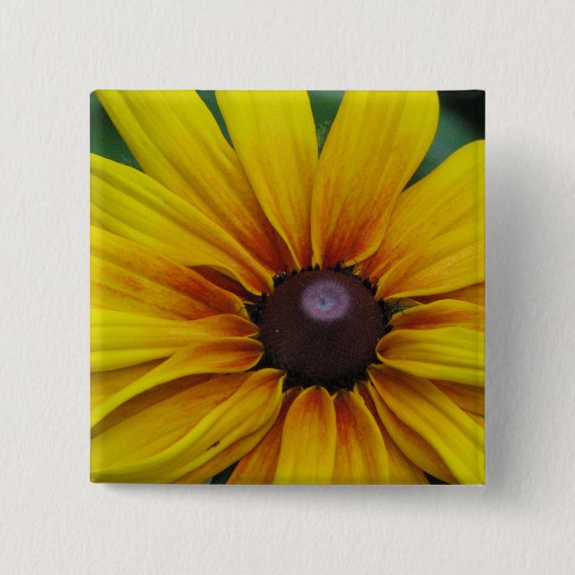 Schwarzes mit Augen Susan-Blumen-Quadrat-Button Button (Vorderseite)