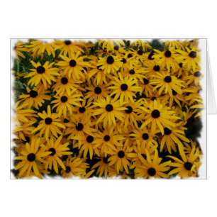 Schwarzes mit Augen Susans