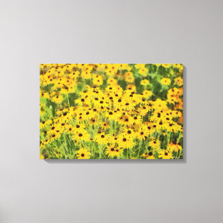 Schwarzes mit Augen Susans wickelte Leinwanddruck