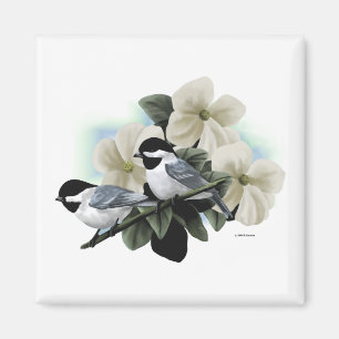 Schwarzes mit einer Kappe bedeckte Chickadees Magnet