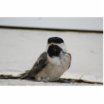 Schwarzes mit einer Kappe bedeckte Freistehende Fotoskulptur<br><div class="desc">Der Erstflug des Schwarzes mit einer Kappe bedeckten Chickadees</div>
