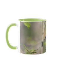 Schwarzes mit einer Kappe bedeckter Chickadee auf