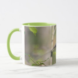 Schwarzes mit einer Kappe bedeckter Chickadee auf Tasse