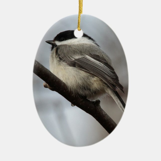 Schwarzes mit einer Kappe bedeckter Chickadee Keramikornament (Vorne)