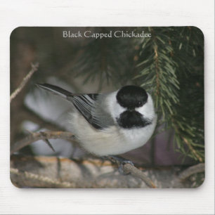 Schwarzes mit einer Kappe bedeckter Chickadee Mousepad