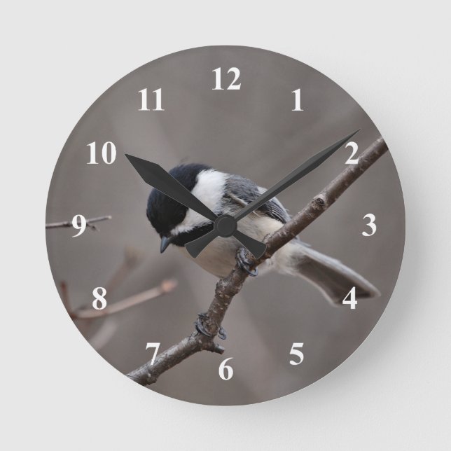 Schwarzes mit einer Kappe bedeckter Chickadee Runde Wanduhr (Vorderseite)