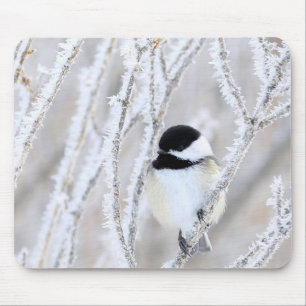Schwarzes mit einer Kappe bedecktes Chickadee Mousepad