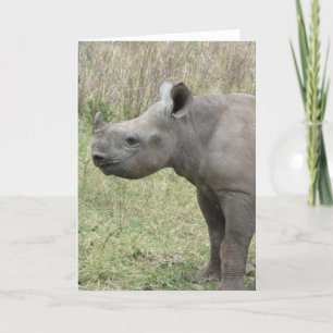 Schwarzes Nashorn-Baby Karte