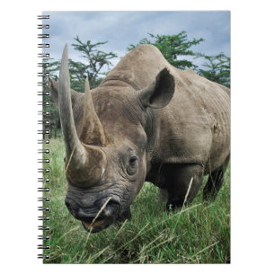 Schwarzes Nashorn Kenia Notizblock