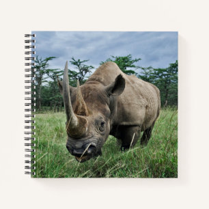 Schwarzes Nashorn Kenia Notizbuch