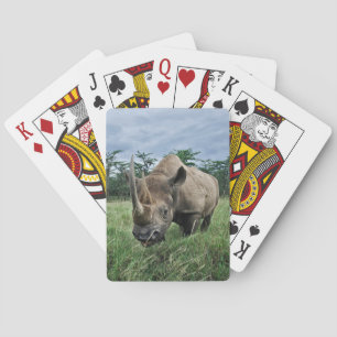 Schwarzes Nashorn Kenia Spielkarten