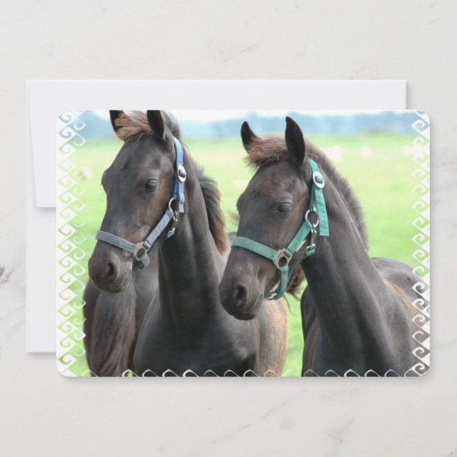 Schwarzes Pferd Einladung (Vorderseite)