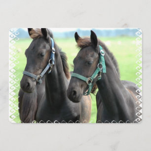 Schwarzes Pferd Einladung