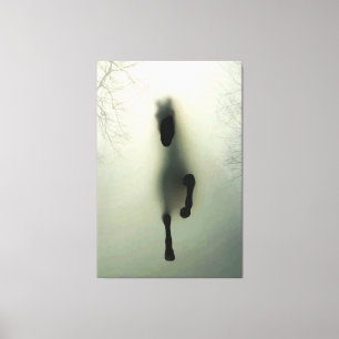 Schwarzes Pferd im Nebelwald Leinwanddruck