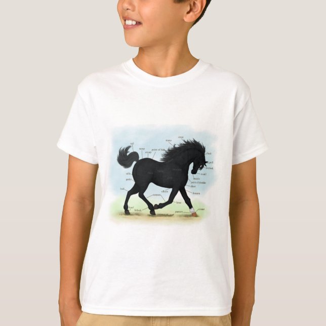 Schwarzes Pferd mit Star & Sock Anatomy Chart T-Shirt (Vorderseite)