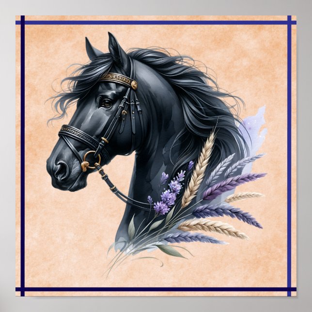 Schwarzes Pferd Poster (Vorne)