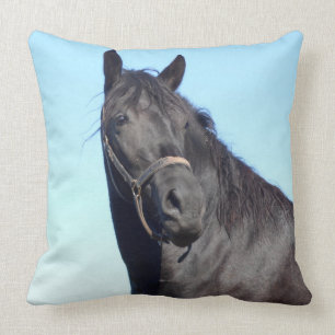 Schwarzes Pferd und der blaue Himmel Kissen
