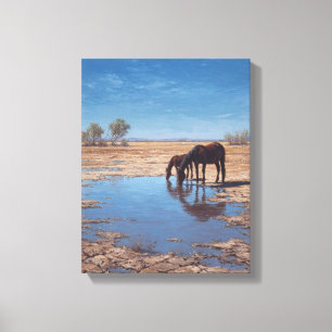 Schwarzes Pferd Wüstenwasser Reflexionskunst Leinwanddruck