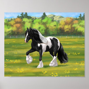 Schwarzes Pinto Schecken Gypsy Vanner Zugpferd Poster