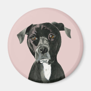 Schwarzes Pit Bull Dog Portrait Magnet