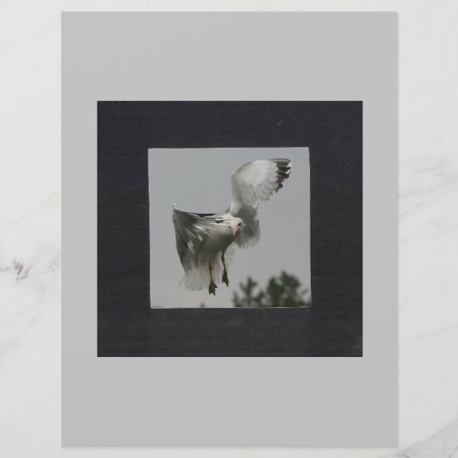 Schwarzes Quadrat auf grauem Foto (Vorderseite)