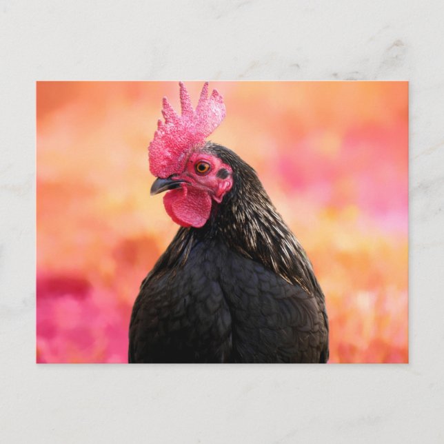 Schwarzes Quadrat Postkarte (Vorderseite)