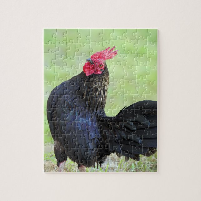 Schwarzes Quadrat Puzzle (Vertikal)