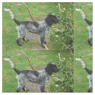 schwarzes roan english_cocker_spaniel full.png stoff