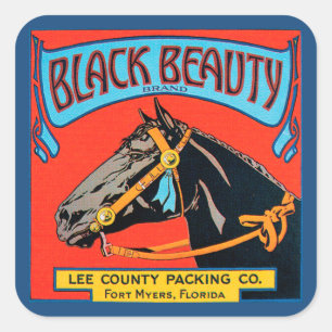 Schwarzes Schönheitsross auf rotem Hintergrund Quadratischer Aufkleber