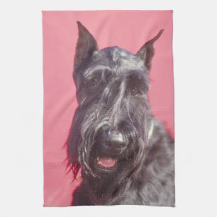 Schwarzes Scottish-Terrier-Geschirrtuch Geschirrtuch