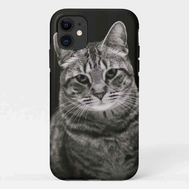 Schwarzes Tabby-Kätzchen Case-Mate iPhone Hülle (Rückseite)