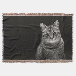 Schwarzes Tabby-Kätzchen Decke