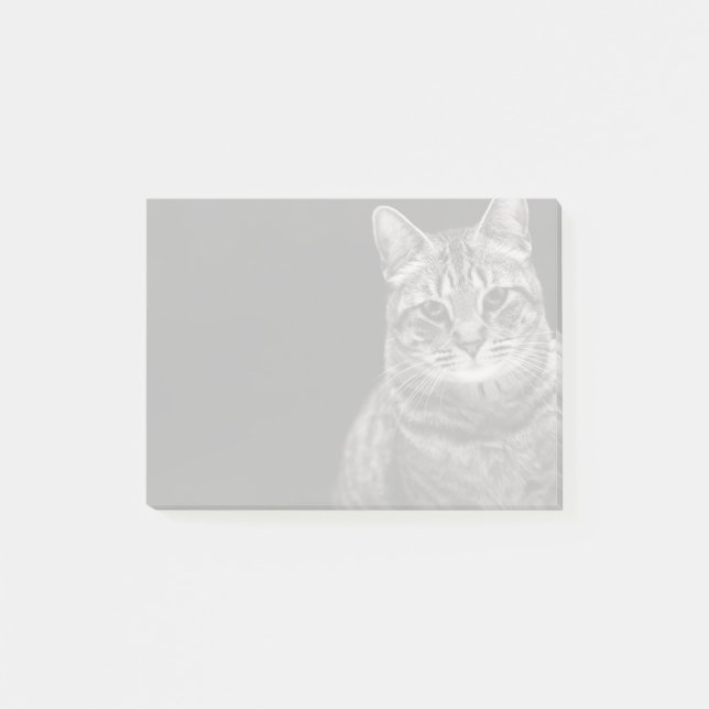 Schwarzes Tabby-Kätzchen Post-it Klebezettel (Vorderseite)