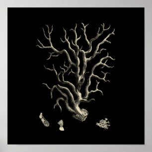 Schwarzes und TAN-Koralle Poster