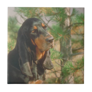 Schwarzes und TANcoonhound-Fliese Fliese