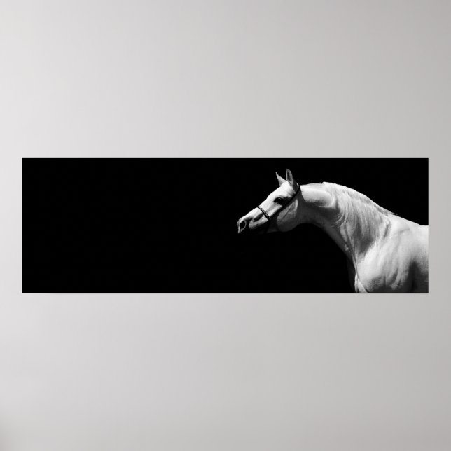 Schwarzes und Weiß Poster (Vorne)