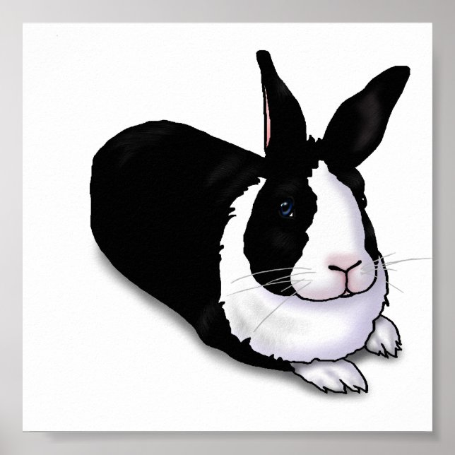Schwarzes und weißes Rabbit Poster (Vorne)