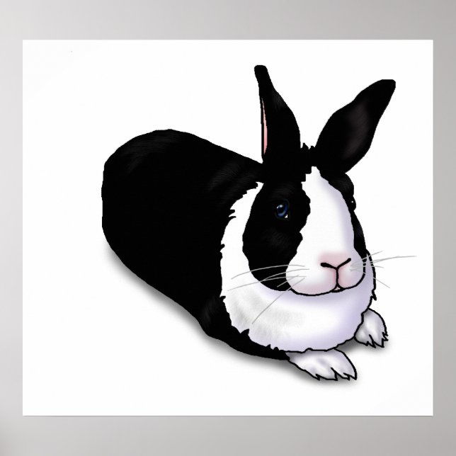 Schwarzes und weißes Rabbit Poster (Vorne)