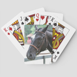 Schwarzes Warmblut-Kartenspiel  Spielkarten