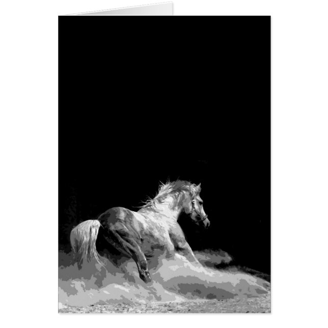 Schwarzes & Weiß Pferd in Aktion (Vorne)