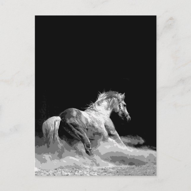 Schwarzes & Weiß Pferd in Aktion Postkarte (Vorderseite)