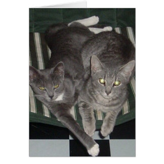 Schwarzes, Weiß u. Grau