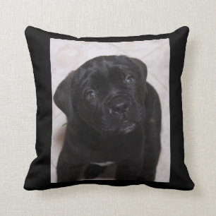 Schwarzes Welpen-Kissen-Foto Kissen