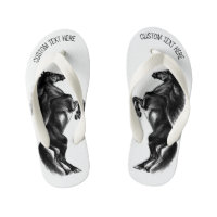 Schwarzes Wild-Pferd - Schwarz-Weiß-Zeichn